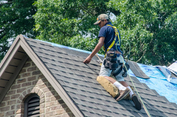 Roof Gutter Cleaning in Montura, FL